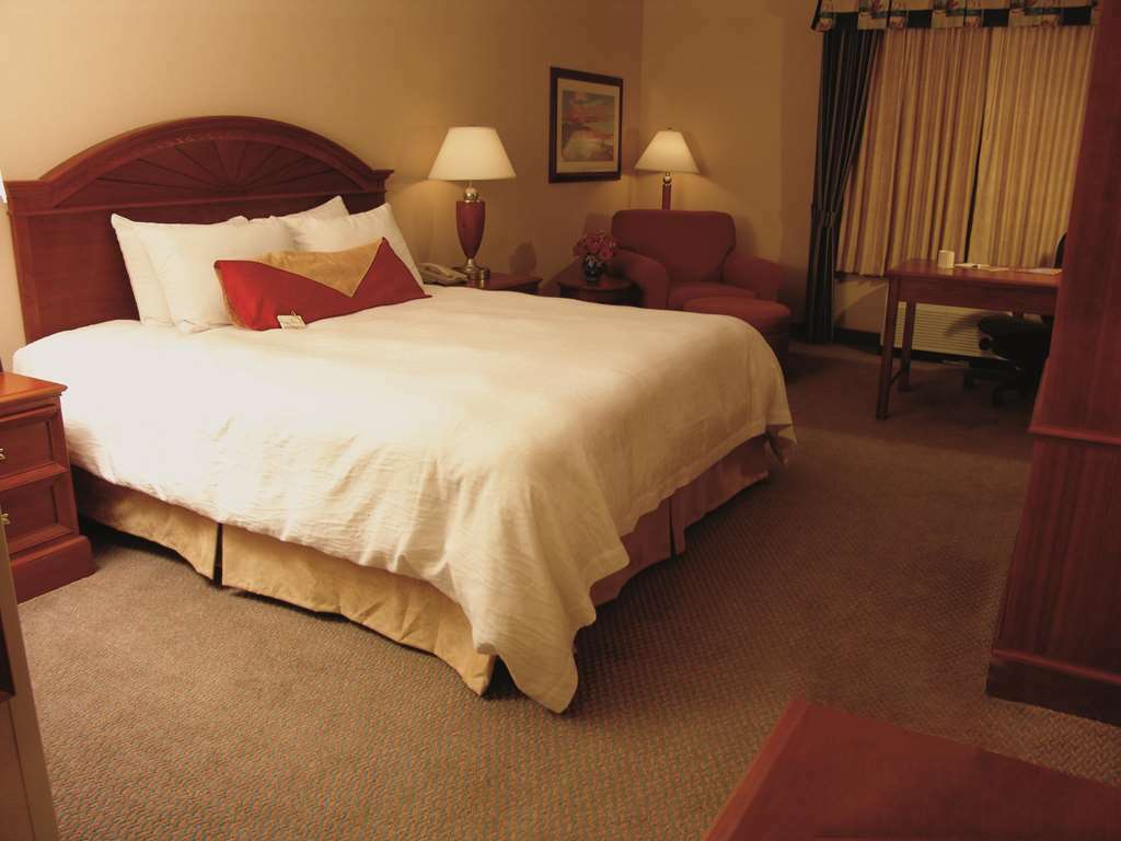 Hilton Garden Inn Mobile East Bay / Дафне Номер фото
